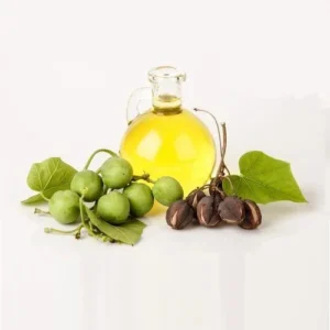 Ratanjot (Jatropha) Oil