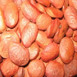 Karanj (Pongamia) Oil